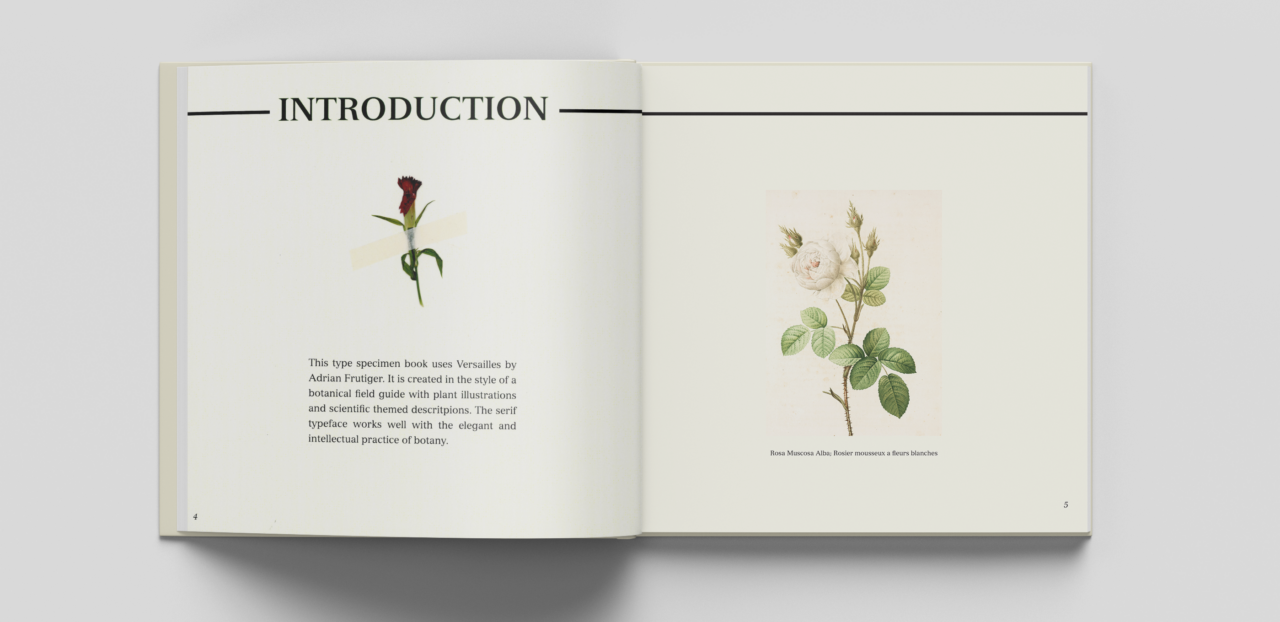 Botany Field Guide Page Example.pdf Fieldguide to Versailles: Type Specimen Book - Kayden Sanden-Kolheffer