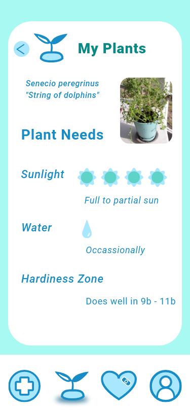 plant screen